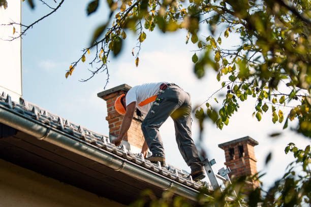 Best Storm Damage Roof Repair  in Niles, OH