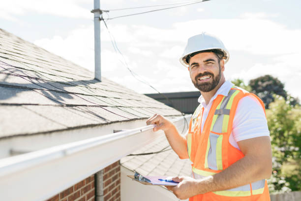 Roof Gutter Cleaning in Niles, OH