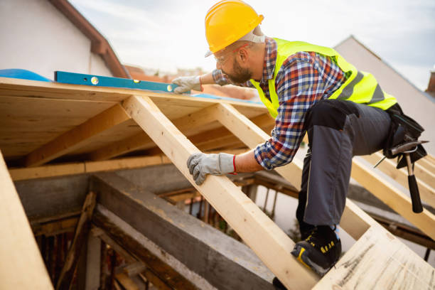 Best Roof Waterproofing Services  in Niles, OH