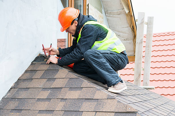 Best Metal Roofing Contractor  in Niles, OH