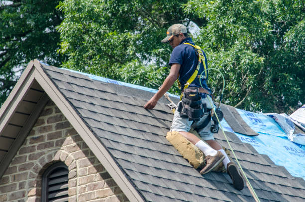 Best Roof Waterproofing Services  in Niles, OH